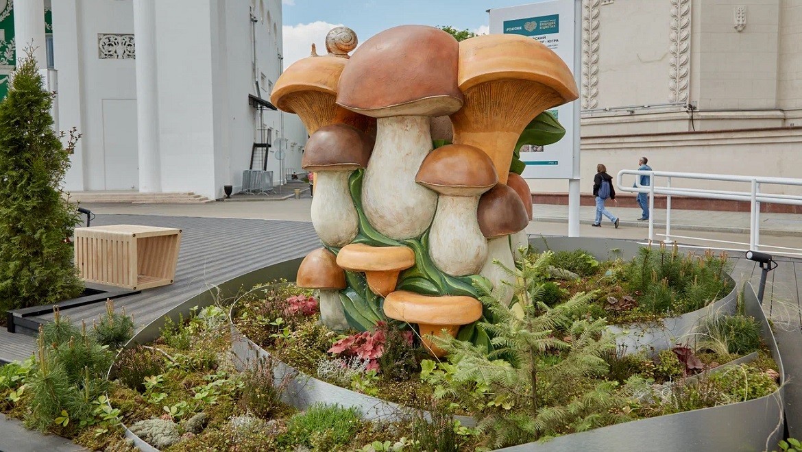 Yugra’s king mushroom. Khanty-Mansi Autonomous Area — Yugra