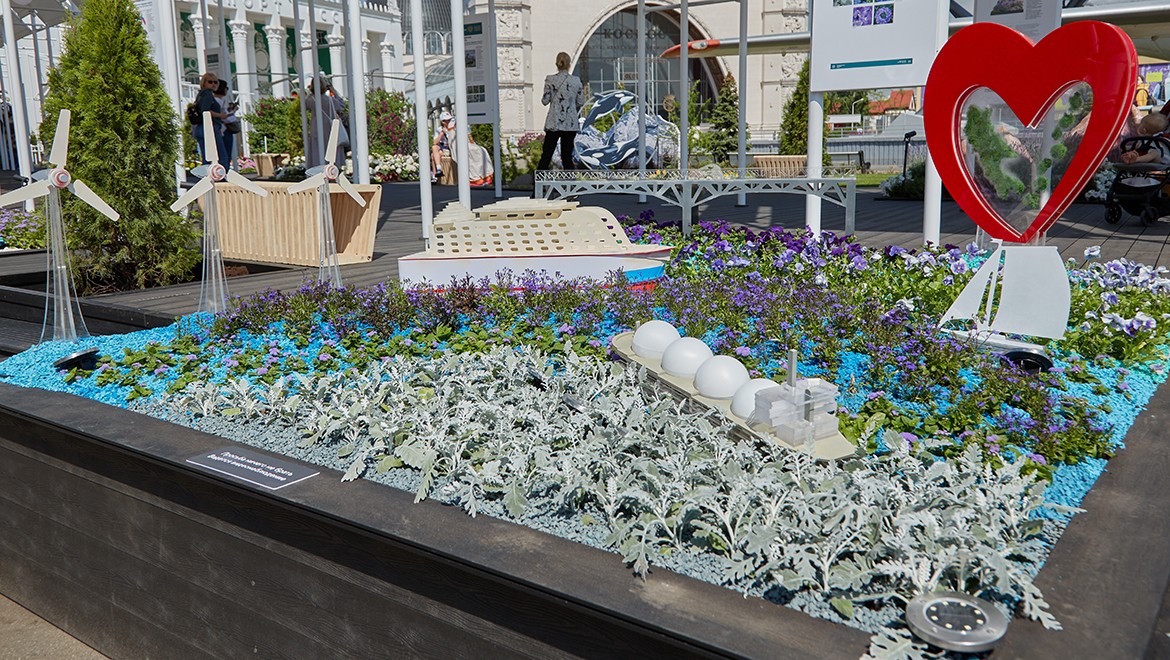 Ocean of flowers. Sakhalin region