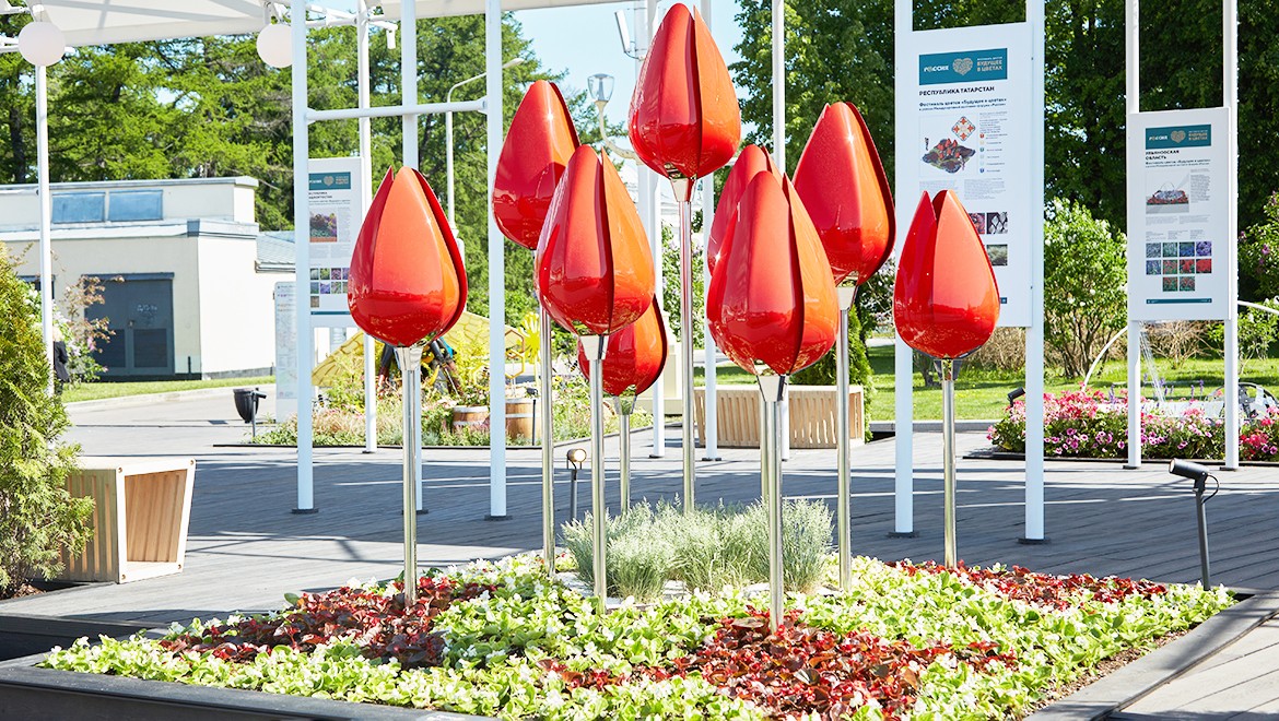 Tulip. Republic of Tatarstan