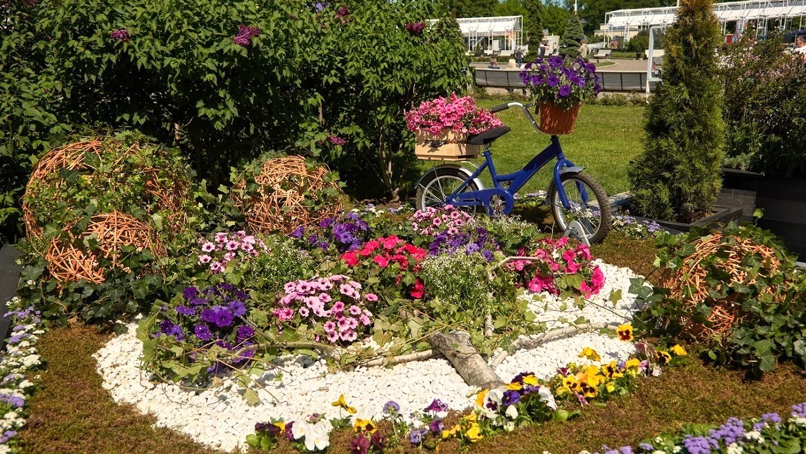A garden on the forest edge. Bryansk region
