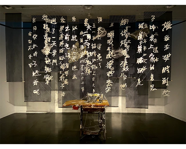 My Grandma - Zhang Fengying