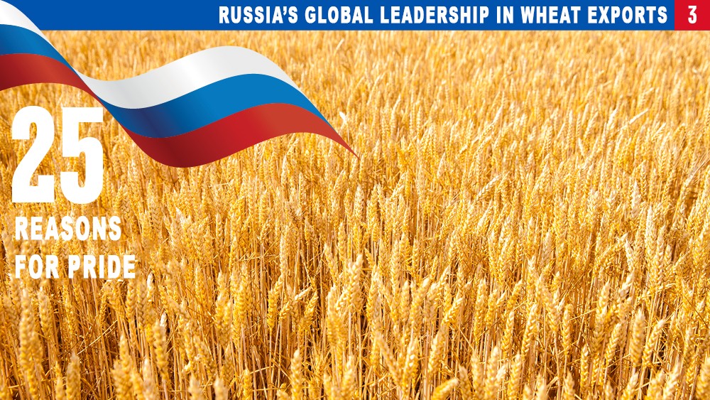 25 reasons for pride: Russian wheat — the golden grain of the nation