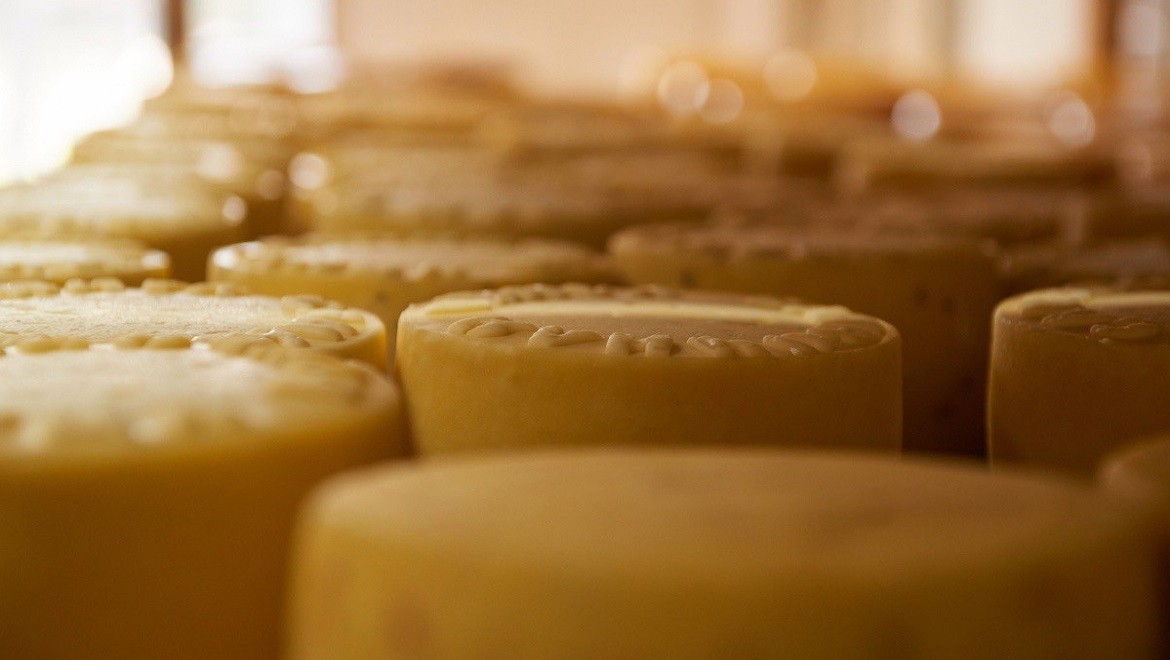 Gourmet goat cheese, pickle brine gingerbread and natural honey await food enthusiasts at the Farmers Fair