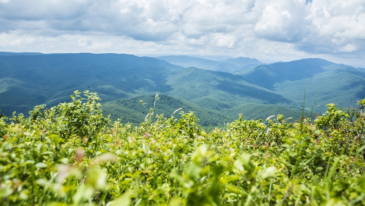 Days of the Krasnodar Region will be held at the RUSSIA EXPO on July 6 and 7