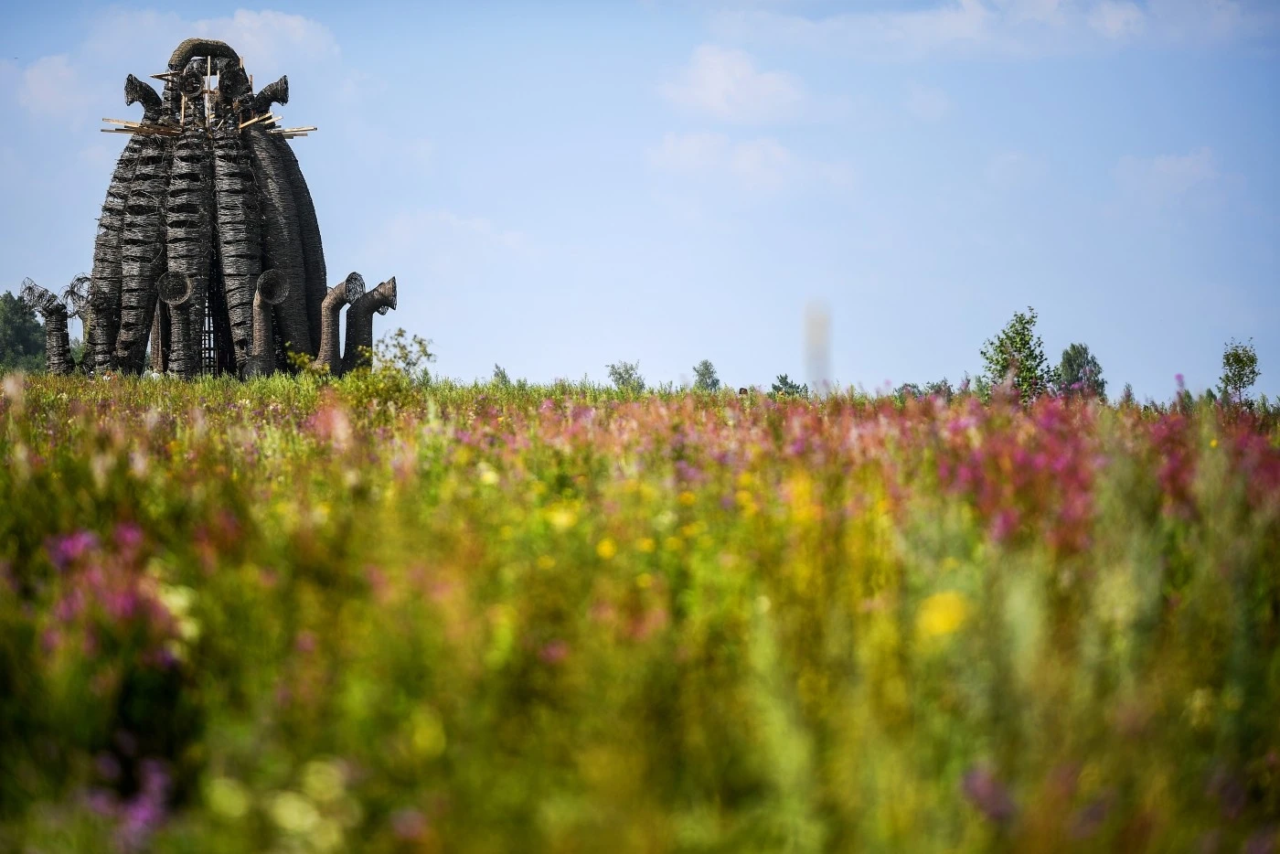 The Kaluga region joins RUSSIA EXPO