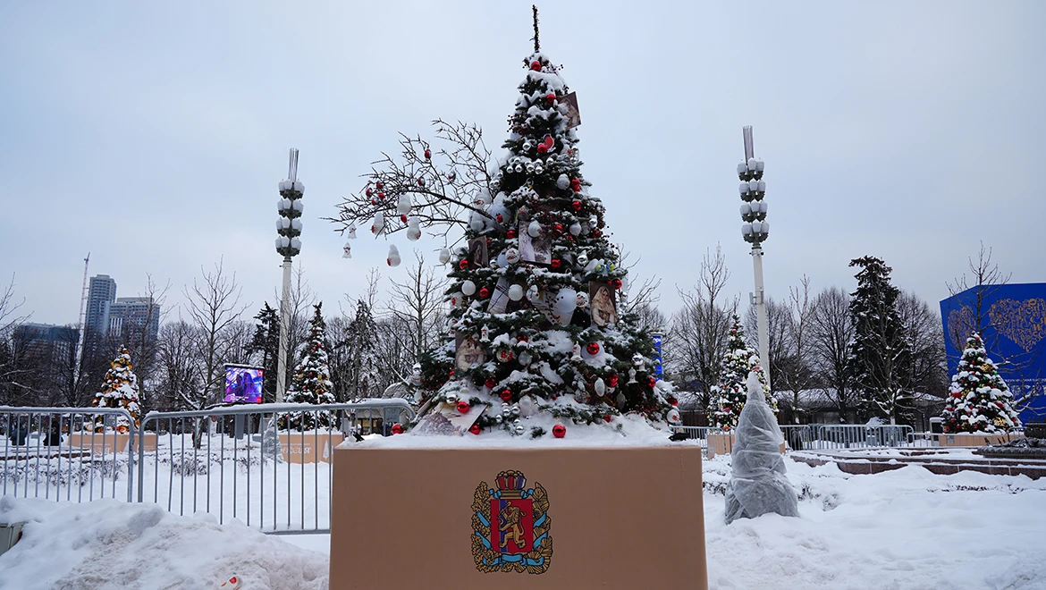 New Year tree of the Krasnoyarsk region: Siberian forest and a flock of bullfinches