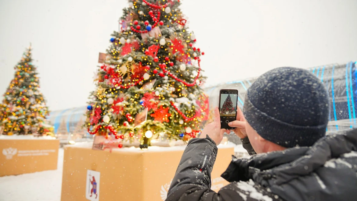Christmas tree of the Republic of Mari El: A bear on guard and the magic of the vine