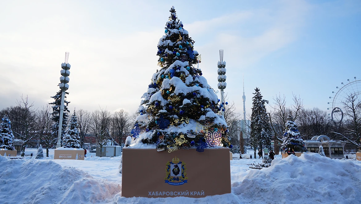 New Year tree of the Khabarovsk region: magical spells of the people of the earth