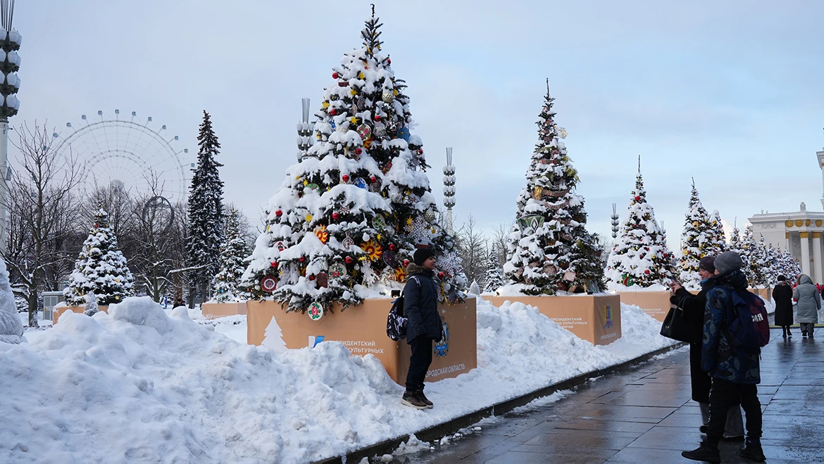 New Year tree of the Novgorod region: Krestetsky snowflakes and the ringing of Valdai bells