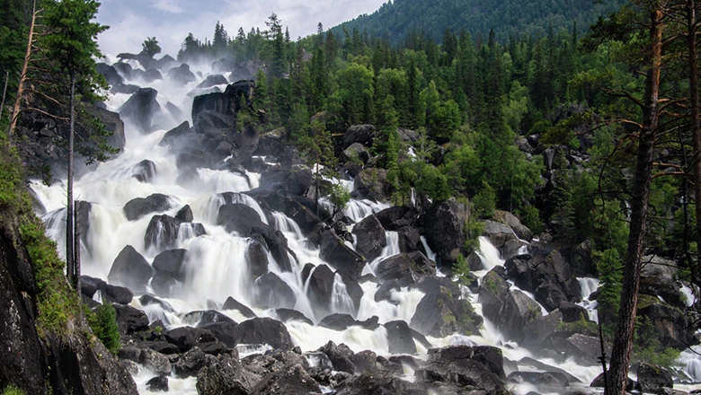 Pine trees and mountains will decorate the Altai region’s stand at the RUSSIA EXPO