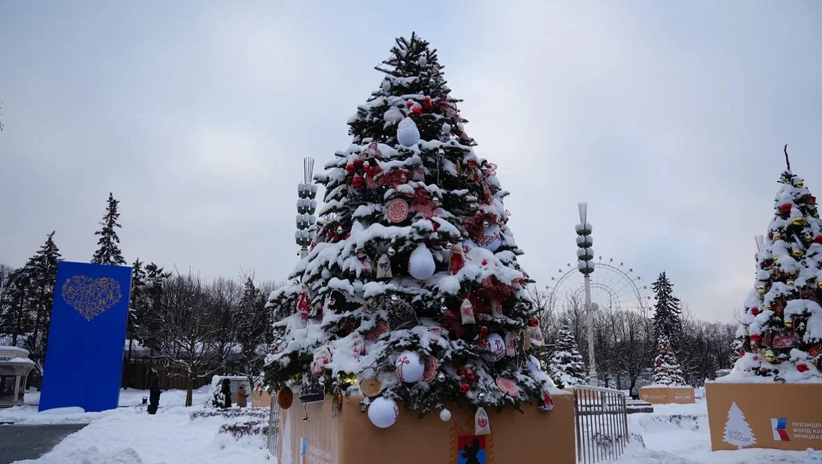 New Year tree of the Republic of Karelia: Karelian birch and UNESCO heritage