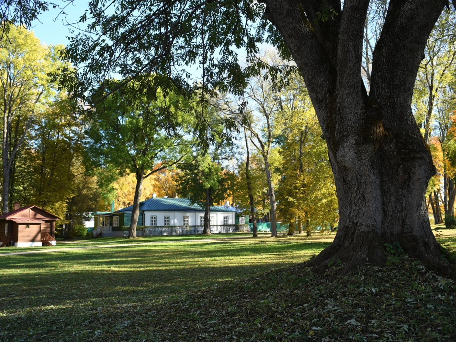 Turgenev&rsquo;s oak tree will be&nbsp;presented at&nbsp;the exposition by&nbsp;the Orel region