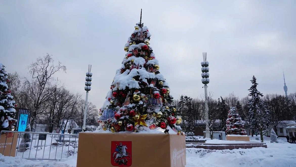 Moscow's New Year tree: Moscow tea party against the backdrop of the Kremlin