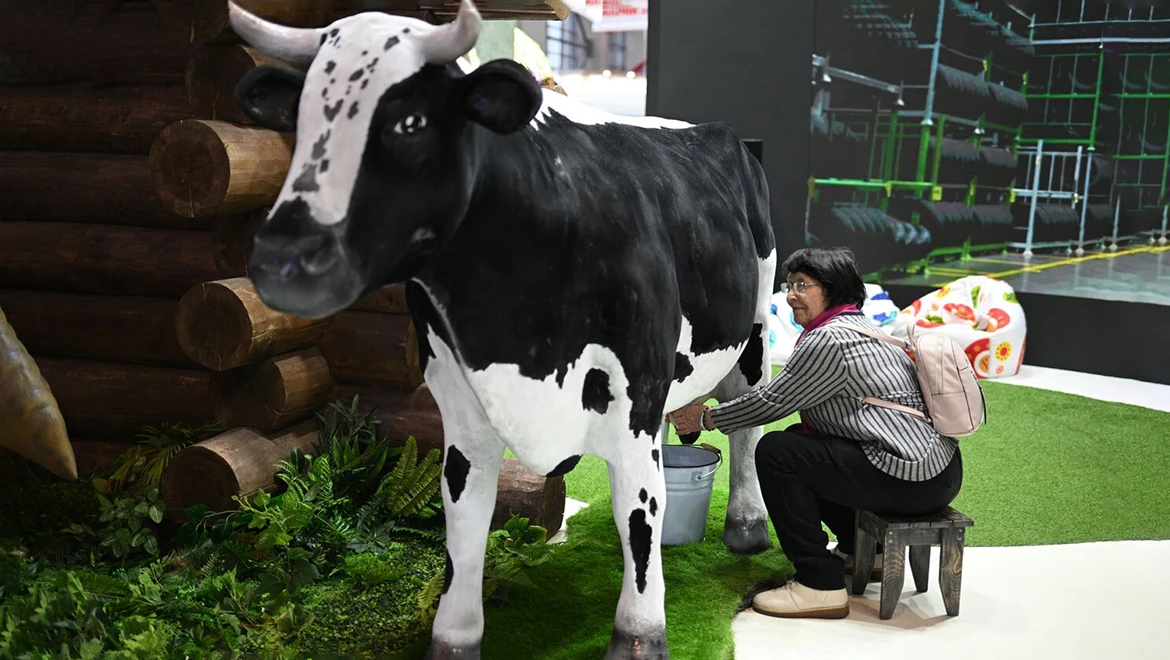 Milk a cow, hug a goose and get a gift: Activities on Agriculture Day