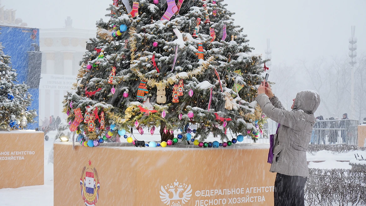 The Mordovian Christmas tree at VDNH is guarded by Kuigorozh