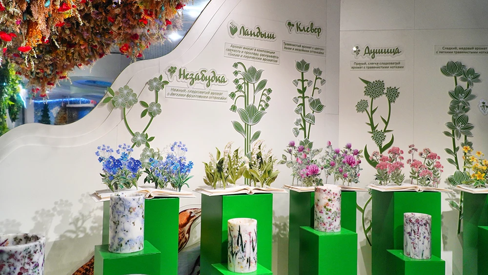 Unusual plants of Russia await guests at the National Centre’s exposition