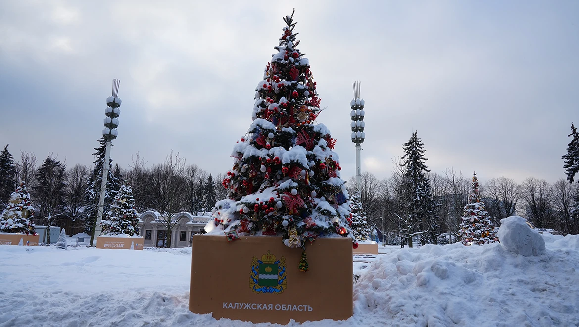 New Year tree of the Kaluga region: colored embroidery and ancient ceramics