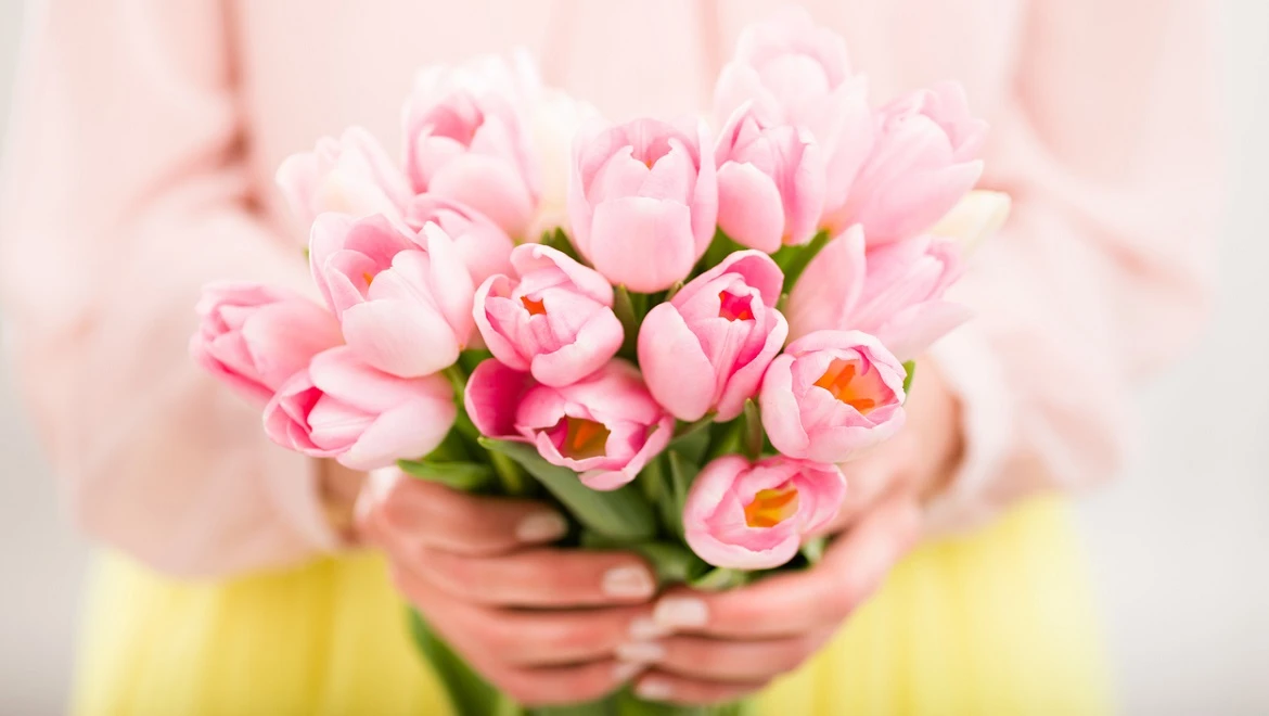 Five thousand tulips from Karelia will be presented to women at the RUSSIA EXPO on March 8