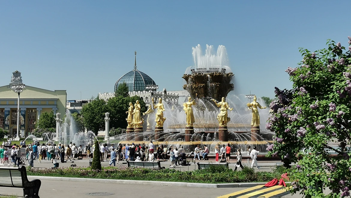 Friendship of Peoples Festival, floral art objects and delicacies from all over the country: interesting things to see on the way to the Museum of Cinema