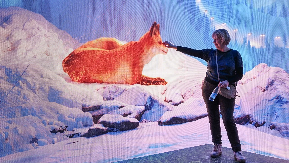 Career lifehacks and helping wild animals: how to spend Thursday at the RUSSIA EXPO