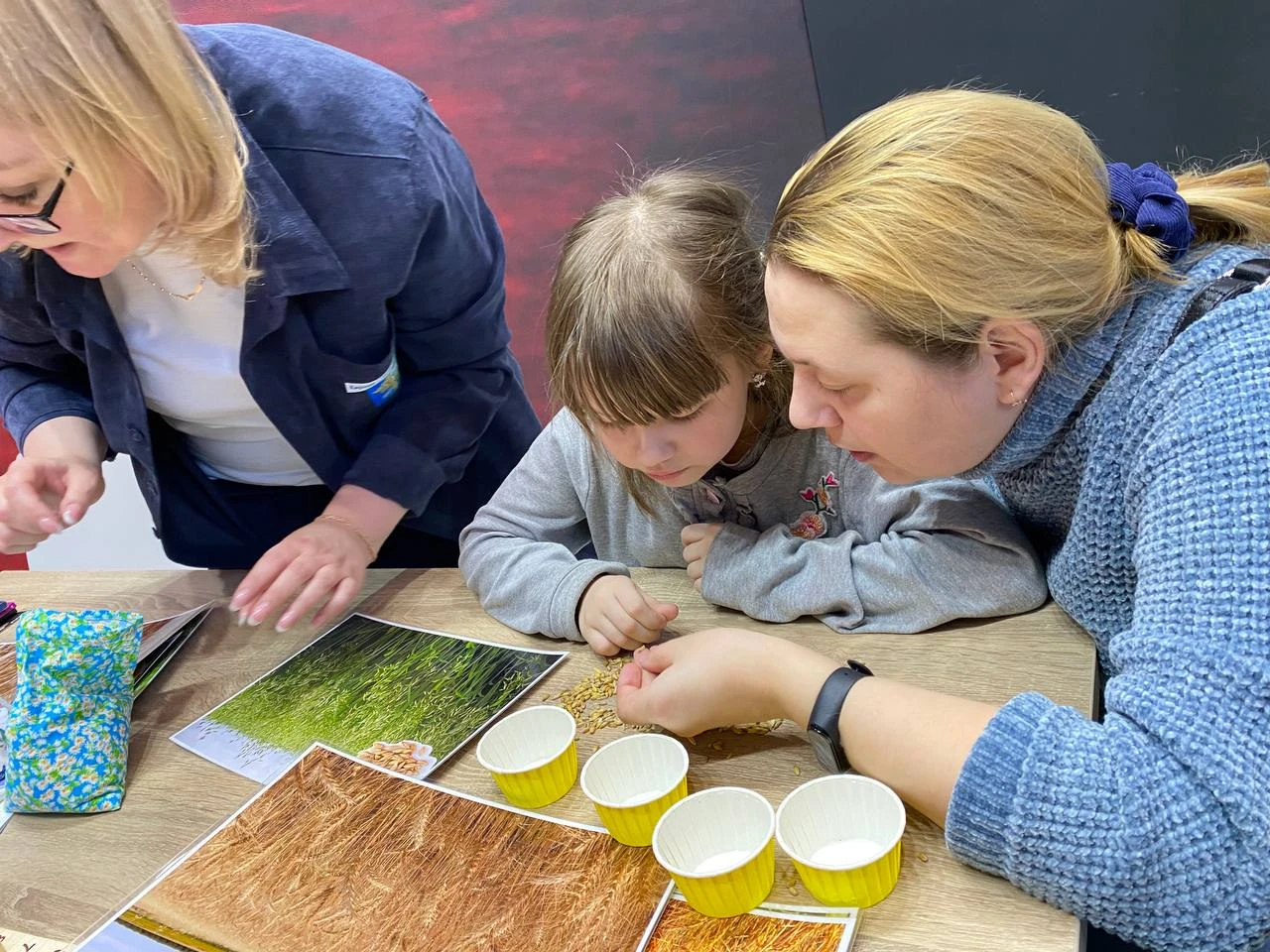 The RUSSIA EXPO raffled off hunting skis, taught how to build a house and understand grain crops