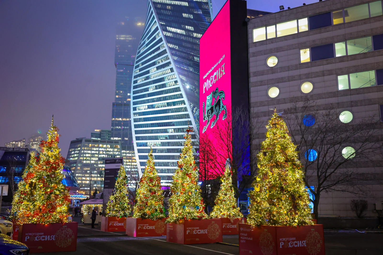 Eight New Year trees representing the federal districts of the country were lit at the National Centre RUSSIA
