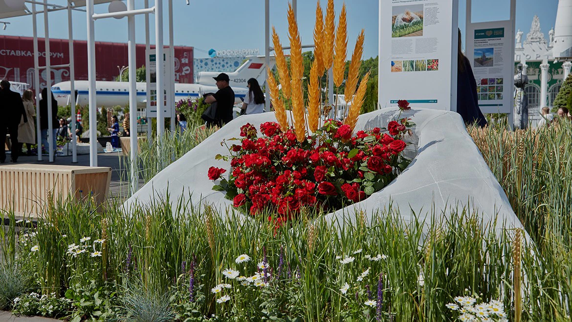 Golden wheat ears, outstanding people and "Snowflake": what regions showcase at the "Future in Flowers" festival