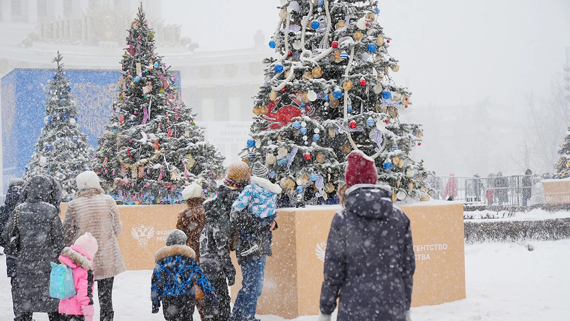 Primorye region Christmas tree: real shells from the Sea of Japan instead of balls