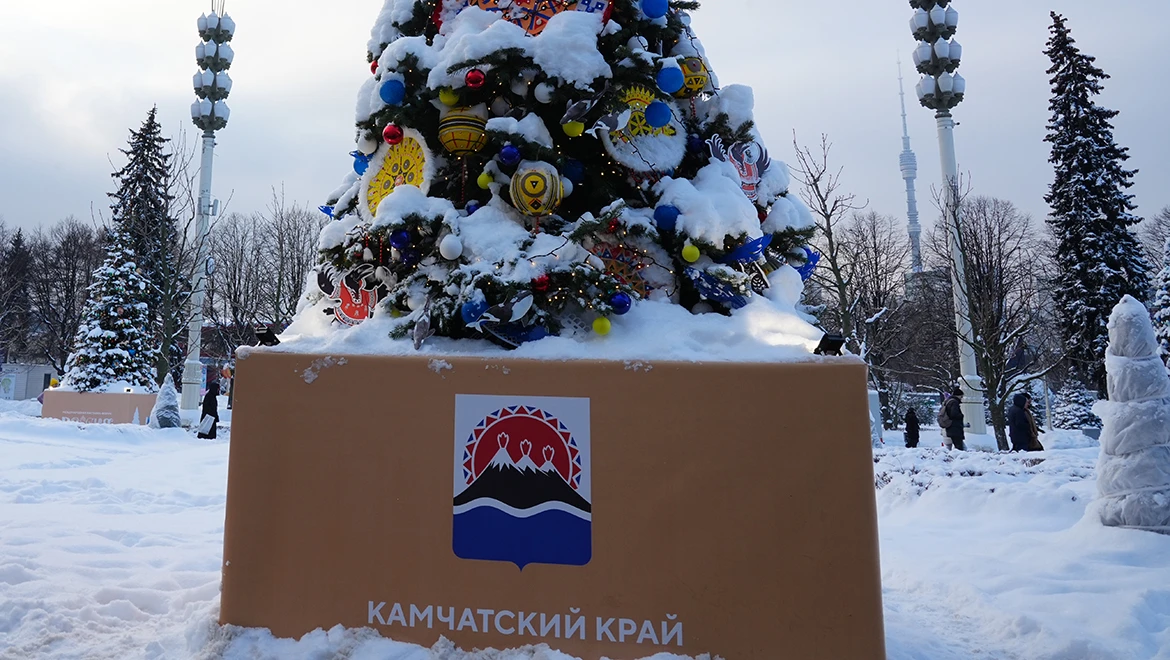 New Year tree of the Kamchatka region: the spirit of Raven and fantastic sunshine