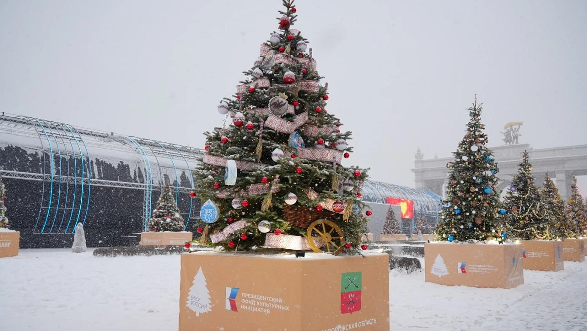 Christmas tree of the Zaporozhye region: South Russian ornaments and silhouettes of vytynanka