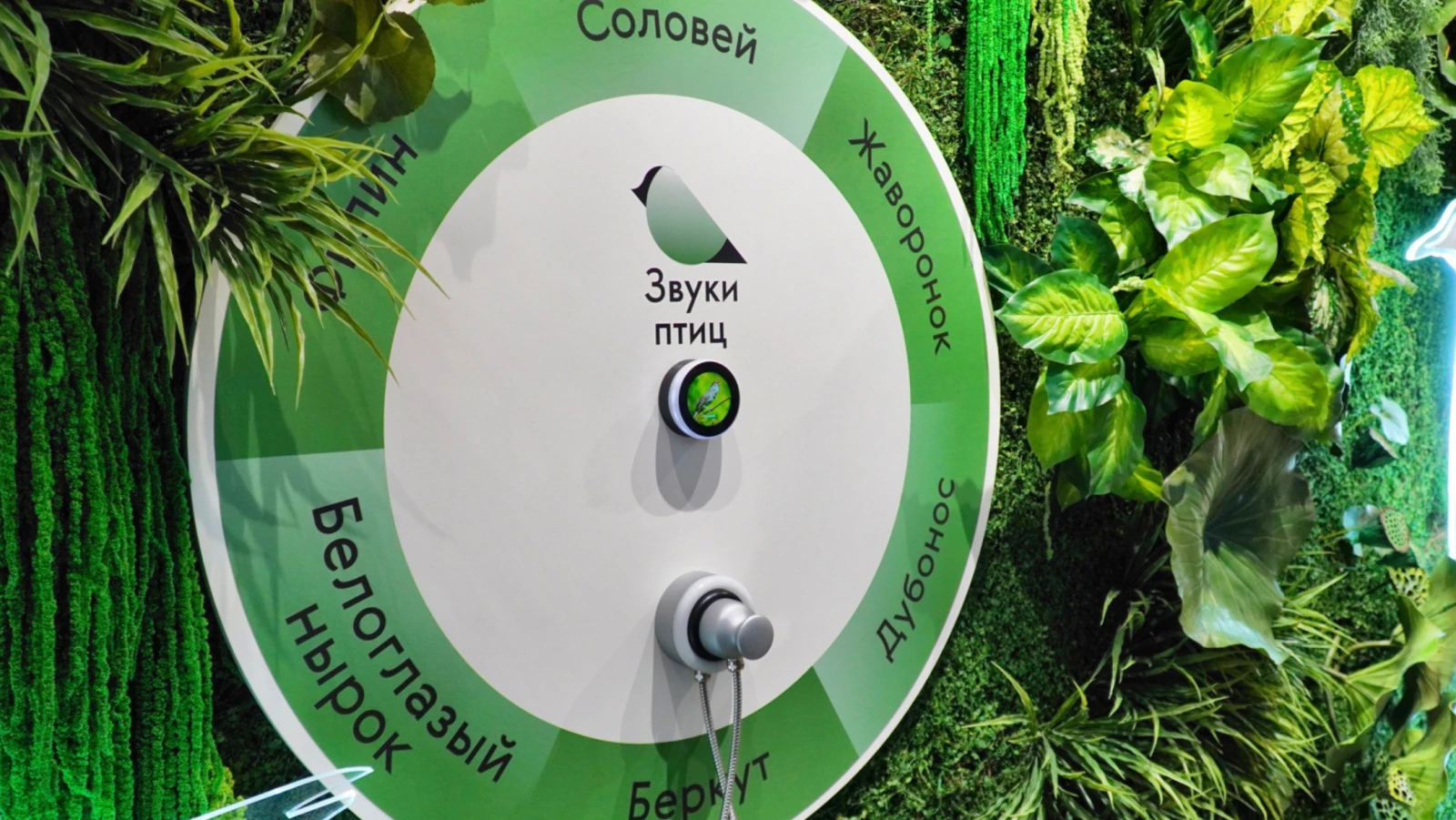 International Bird Day: listening to birdsongs at the "Journey Across Russia" exposition