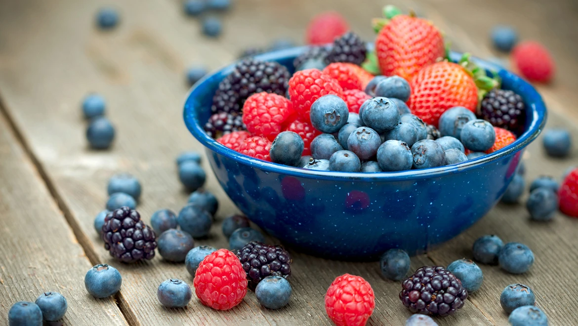 Mushroom caviar, wild berries and smoked eel: Farmers Fair has been updated