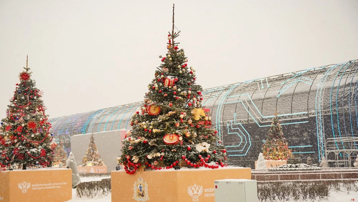 Arkhangelsk Christmas tree: boxes with secrets and a bird of happiness