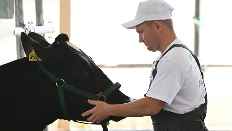 Tatarstan's agriculture can be supported on the "Achievements.RF" portal