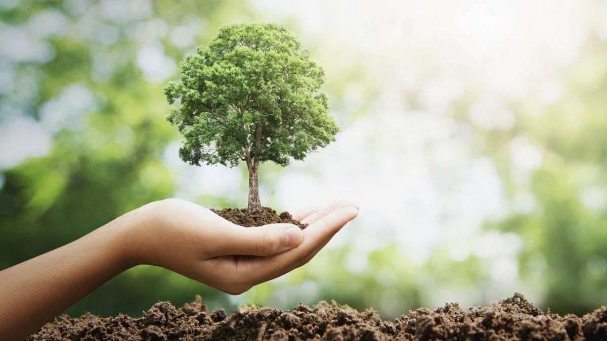 Plant Your Family Tree project at the Primorye region stand