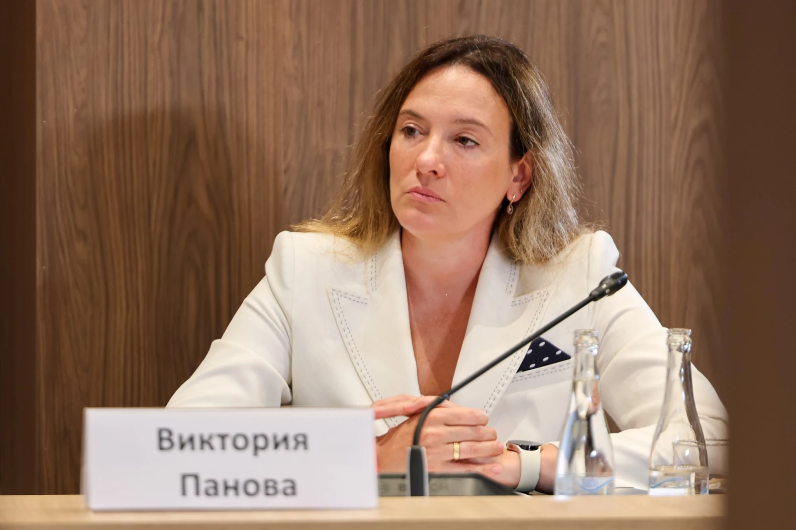 Expert session of the Open Dialogue 